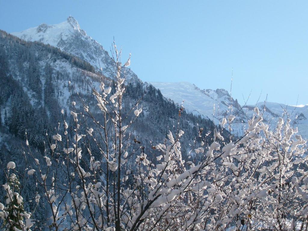 Appartement T2 Chamonix Centre Balcon Vue Mont Blanc 외부 사진